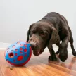 KONG Rewards Wally - jutalmazó játék