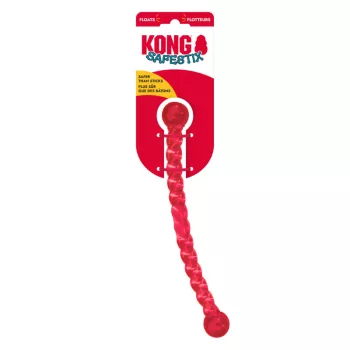 KONG Safestix S