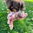 KONG Scrumplez Bunny - nyuszi plüssjáték