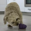 KONG Senior S játék