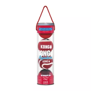 KONG Signature Balls M 4-es csomag