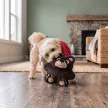 KONG Snuzzles Bear - Medve