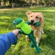 KONG Wild Knots Frog- Béka formájú köteles plüssjáték
