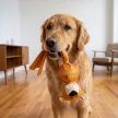 KONG Wubba Friends Ballistic - Majom