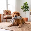 KONG Wubba Friends - Róka