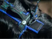 Musher Freespirit hám