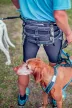 Musher Takotna öv