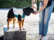 Non-stop Cooling pull-on felhúzható hűtőmellény