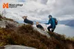 Non-stop Fjord esőkabát kutyáknak