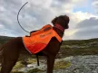 Non-stop Protector GPS mellény