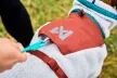 Non-stop Trekking polargyapjú kabát kutyáknak