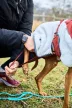 Non-stop Trekking polargyapjú kabát kutyáknak