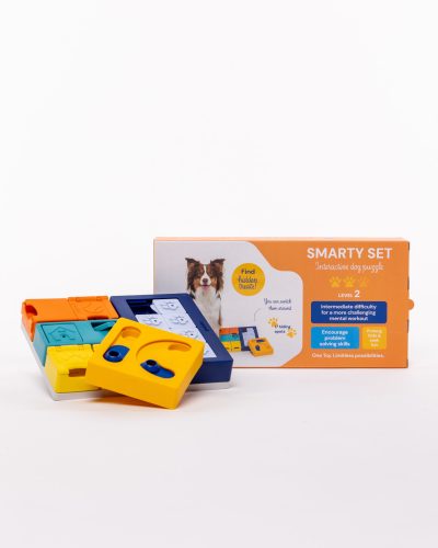 Pawzler Smarty logikai játék szett