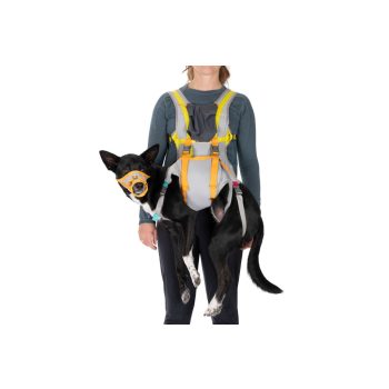 Ruffwear BackTrak sürgősségi kutyahordozó készlet