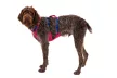 Ruffwear FLAGLINE™ hám  fogantyúval 