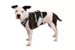 Ruffwear FLAGLINE™ hám  fogantyúval 