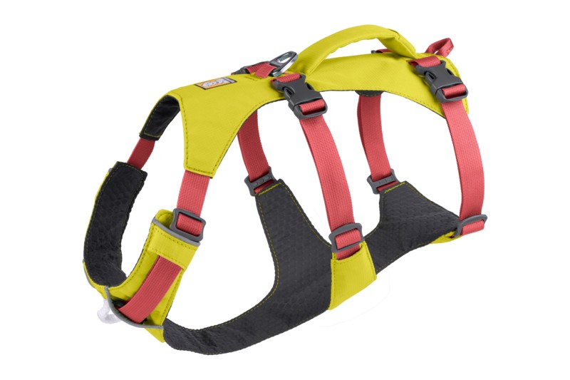 Ruffwear FLAGLINE h m foganty val Dog Gear