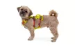 Ruffwear FLAGLINE™ hám  fogantyúval
