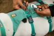 Ruffwear FLAGLINE™ hám  fogantyúval 