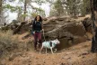 Ruffwear FLAGLINE™ hám  fogantyúval 