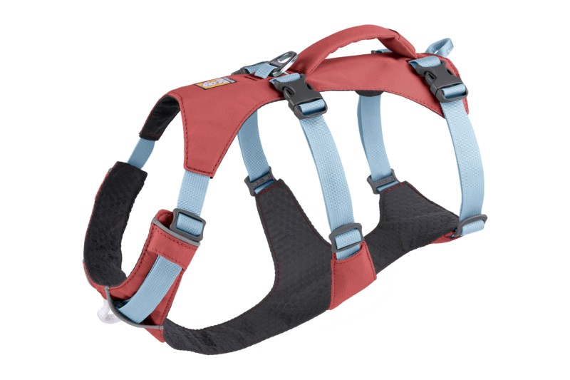 Ruffwear FLAGLINE h m foganty val Dog Gear