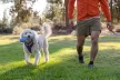 Ruffwear Gourdo kutyajáték - UTOLSÓ ESÉLY!