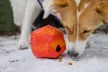 Ruffwear Gnawt-a-Rock kutyajáték - Kifutó színváltozat