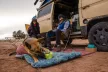 Ruffwear Gnawt-a-Rock kutyajáték - Kifutó színváltozat