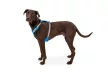 Ruffwear HI & LIGHT™ könnyű kutyahám - KIFUTÓ SZÍNVÁLTOZAT