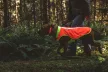 Ruffwear Lumenglow™ High-Vis Vest mellény kutyáknak