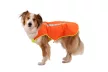 Ruffwear Lumenglow™ High-Vis Vest mellény kutyáknak