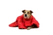 Ruffwear Palisades Sleep Poncho alvókabát kutyáknak