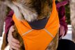 Ruffwear Quinzee meleg kutyakabát - KIFUTÓ SZÍNVÁLTOZAT