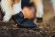 Ruffwear Ridgeline™ kutyacipő - 2 db