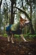 Ruffwear Sun Shower kezeslábas kutyakabát