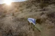  Ruffwear Swamp Cooler hűtőmellény - Kifutó színváltozat