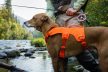 Ruffwear Web Master 2 hám 