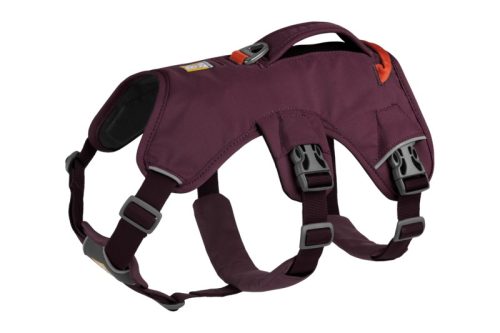 Ruffwear Web Master hám