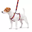 WAUDOG "3D kockák" hám
