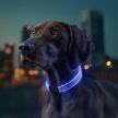 WAUDOG Led világító nyakpánt