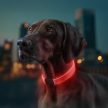 WAUDOG Led világító nyakpánt