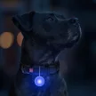 WAUDOG Led lámpa