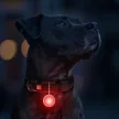WAUDOG Led lámpa