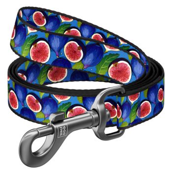 WAUDOG Füge póráz