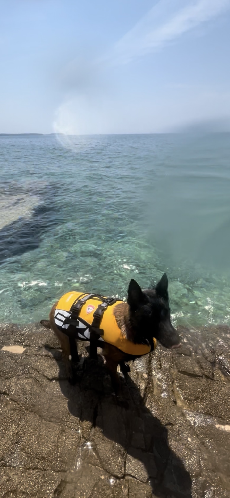 EzyDog DFD mentőmellény
