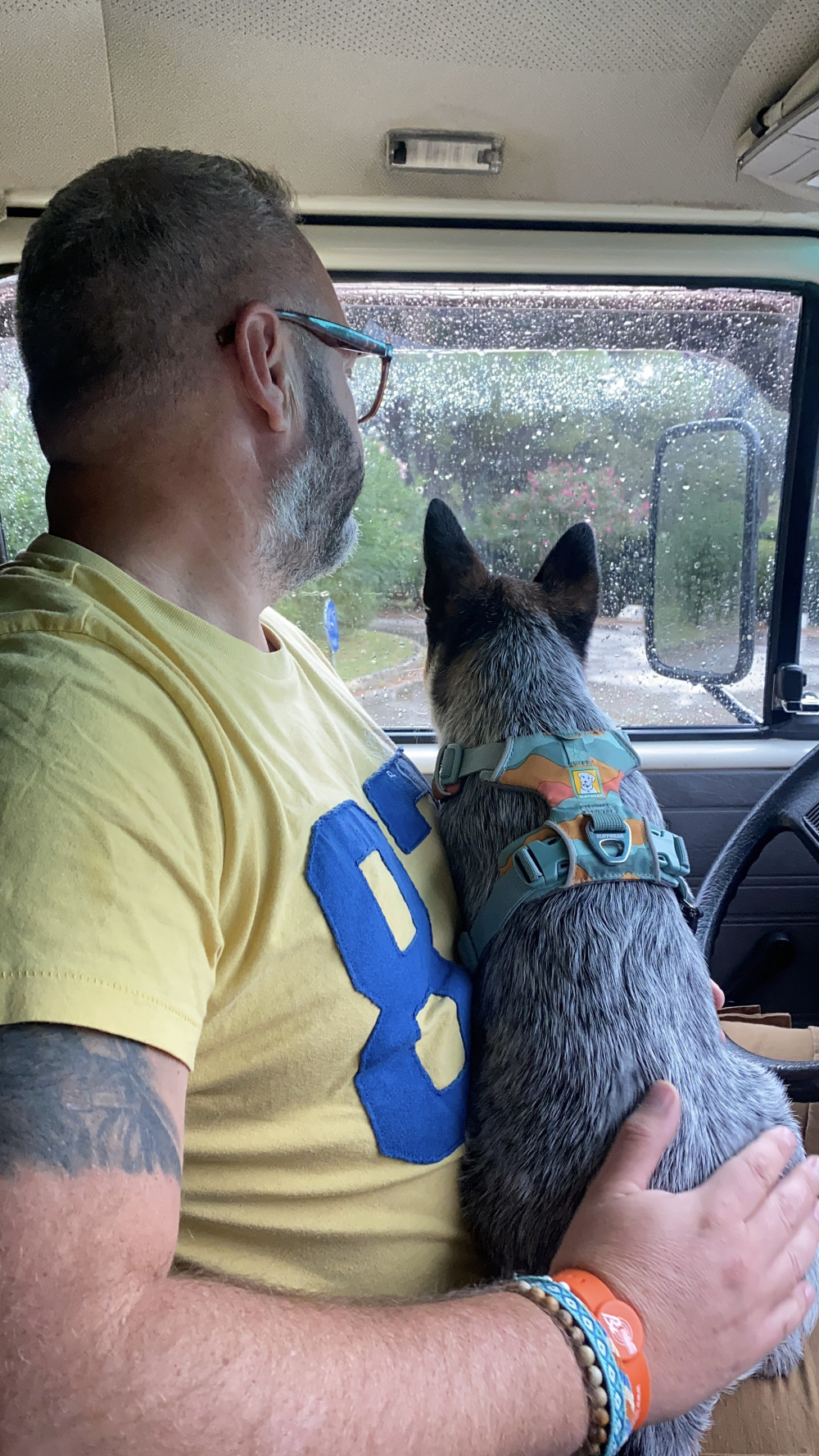 Ruffwear FRONT RANGE® kutyahám
