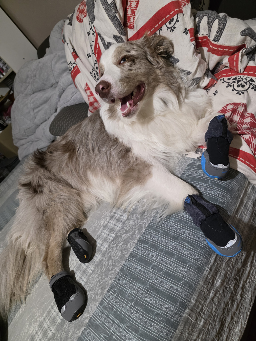 Ruffwear Polar Trex™ - 2 db
