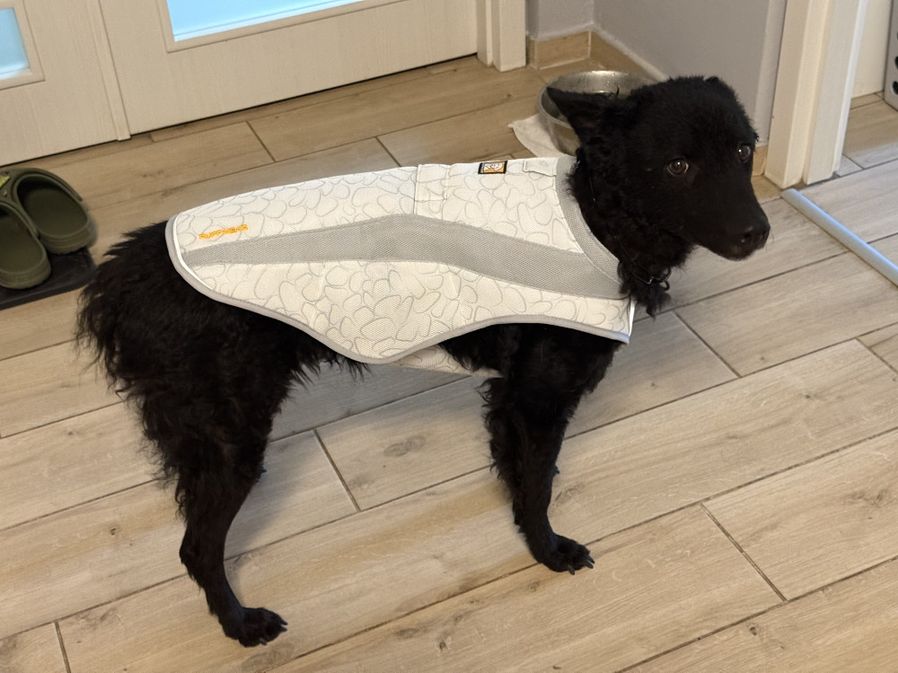 Ruffwear Swamp Cooler hűtőmellény
