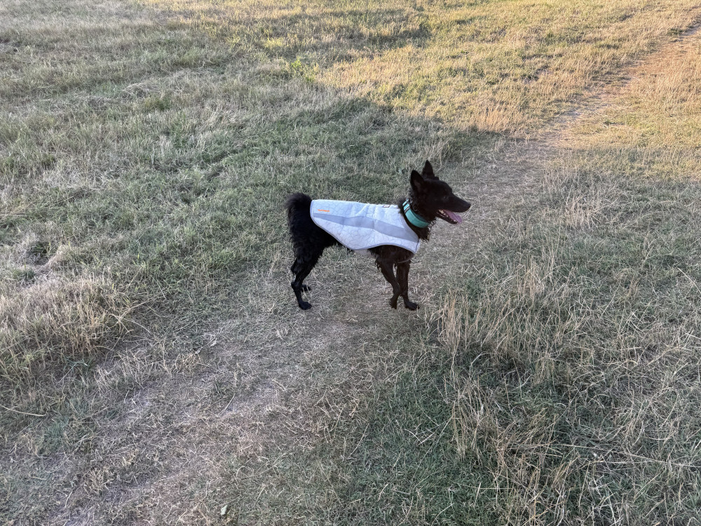 Ruffwear Swamp Cooler hűtőmellény
