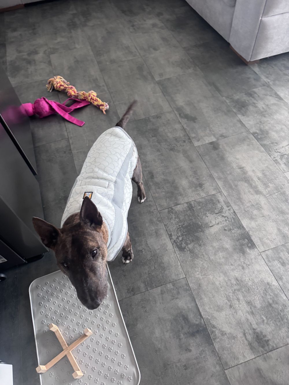    Ruffwear Swamp Cooler hűtőmellény - Kifutó színváltozat
